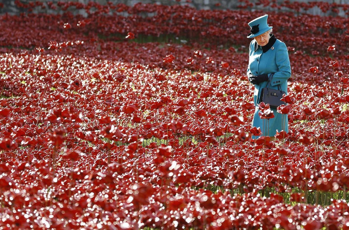 100 years after WWI, poppy lives on as symbol – Deseret News, image size:1200x790