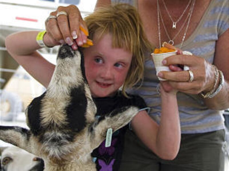 Richard and Jennete Killpack react to testimony during their preliminary hearing on Wednesday in 4th District Court in Provo.