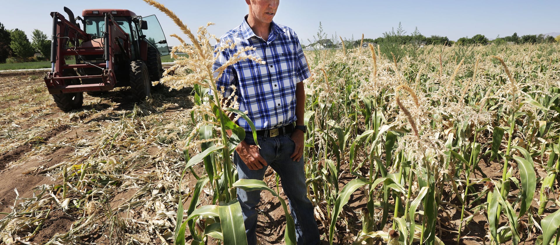 Tyson Roberts, of Roberts Family Farms, talks about how the drought is affecting his farm in Layton on Friday, July 16, 2021.