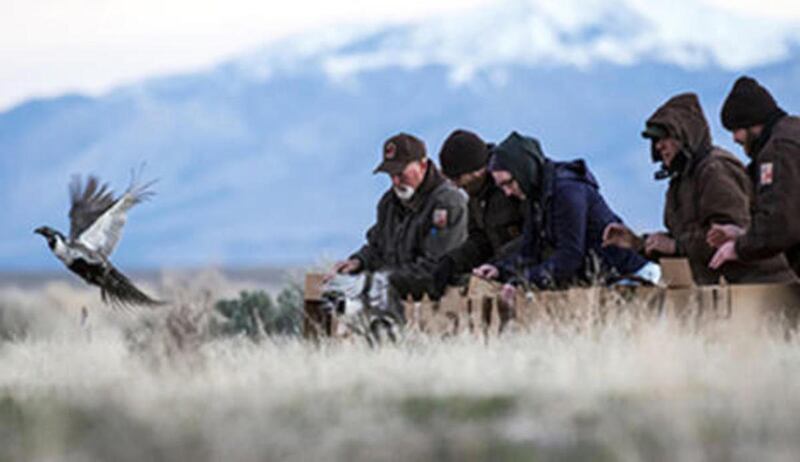 As a county, we can say yes to economic development without giving up our self-determination to a legislature predominantly represented by the Wasatch Front.