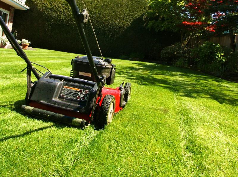 Freshly mowed grass is one of our favorite aromas, but you can't smell it if you're in the ER.