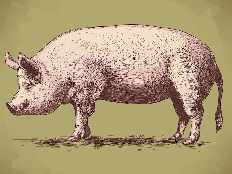 When you were a child, you probably had a piggy bank. Do you wonder who conceived this idea and what made them so popular? One answer, at least in the U.S., is the success of the “Pete Pig” campaign.