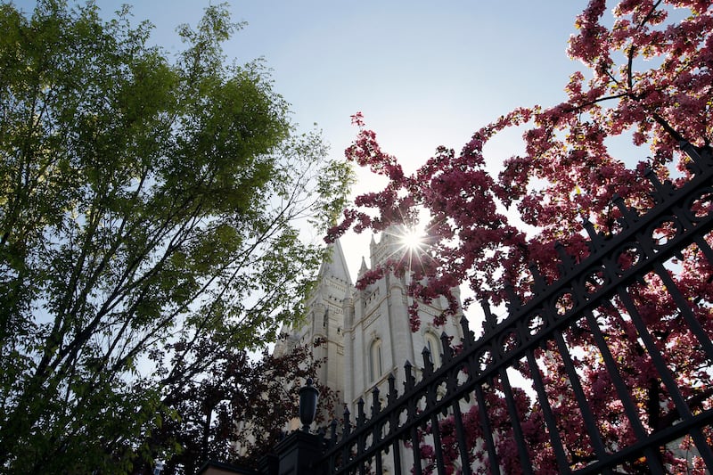 Trees bloom near the Temple in Salt Lake City