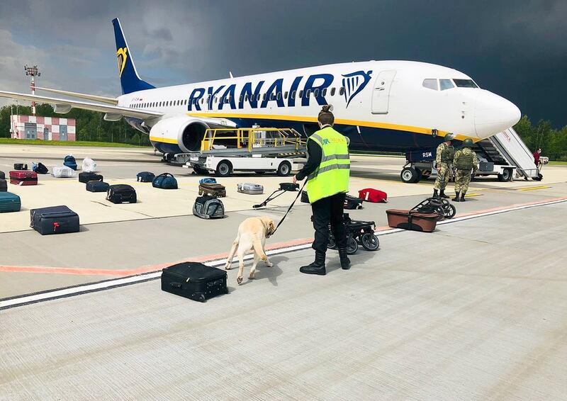 Security use a sniffer dog to check the luggage of passengers on the Ryanair plane carrying opposition figure Raman Pratasevich.