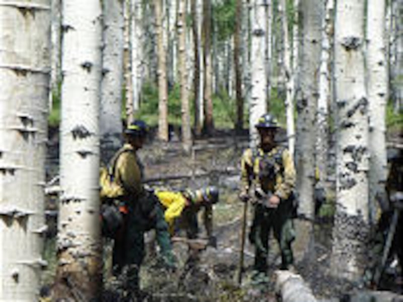 Firefighters put out hotspots on a containment line Thursday. Work is "going very, very slowly," said Dave Sisk, in charge of the effort.