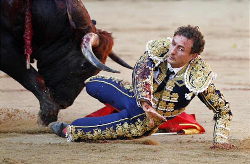 Spanish matador Rafael Ribio Lujan 'Rafaelillo is tossed by a Miura bull Sunday during a bullfight in Pamplona, northern Spain. The incident occurred during the San Fermin festivities, or "Los San Fermines," which have been held since 1591 and attract ten