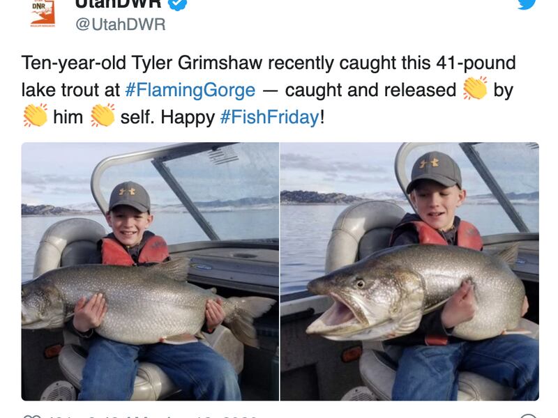 Tyler Grimshaw — a 10-year-old from Utah — snagged a 41-pound lake trout out of the Flaming Gorge National Recreation Area, according to The Utah Division of Wildlife Resources.