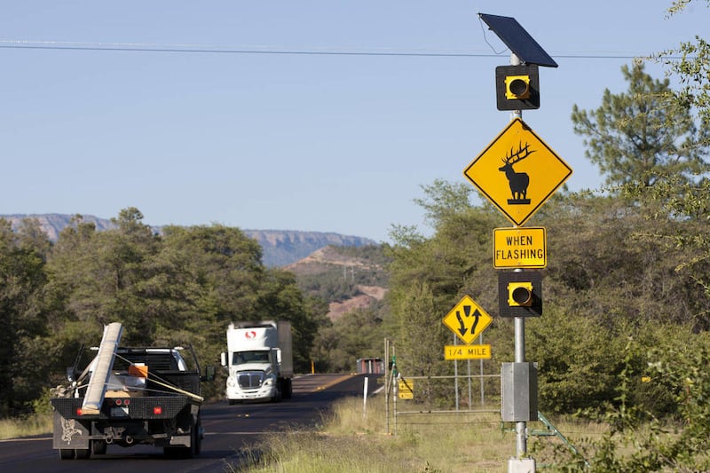 In this June 15, 2011 photo, a sign warns motorists of an elk crossing near Star Valley, Ariz. A few years ago ADOT installed the world's only automatic elk crossing on a stretch of Route 260 between Payson and Heber. Before it went in, people hit elk a d