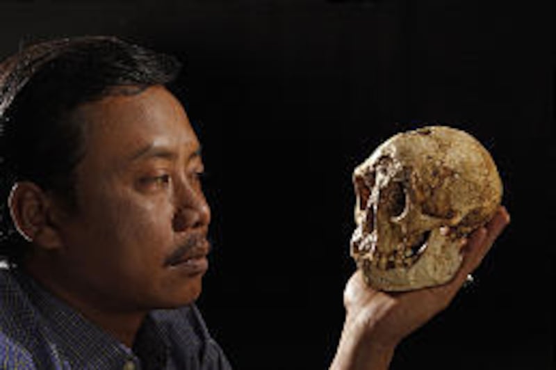 Thomas Sutikna of Indonesian Center for Archaeology in Jakarta holds skull of Homo floresiensis. The species existed alongside humans as recently as 12,000 years ago.