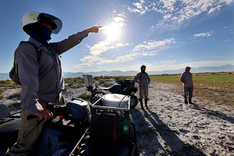 Salt Lake Mosquito Abatement’s Nick Hill, Jonah Willis and Jason Hardman determine where they need to spread insecticide.