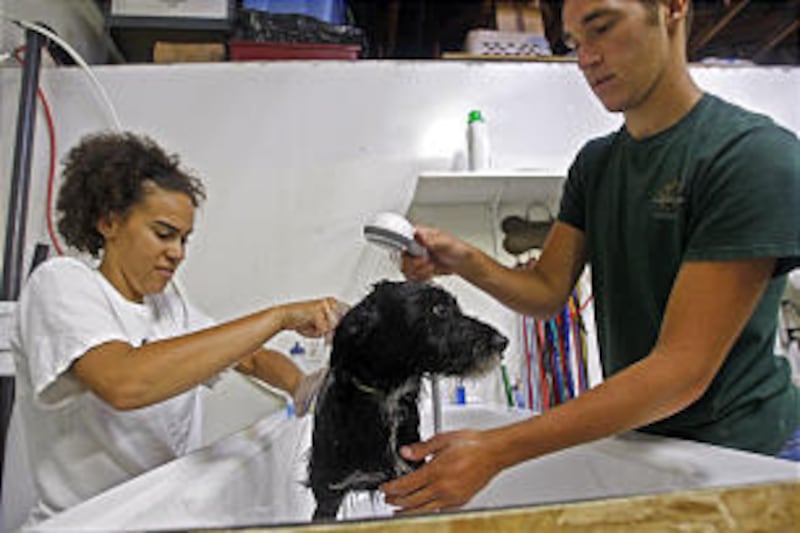 Natalie Imbruglia married Daniel Johns in a secret ceremony.