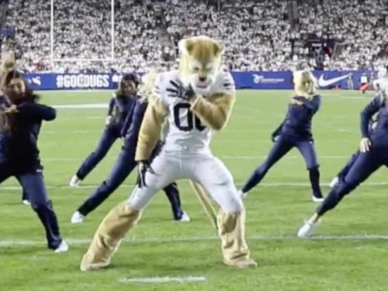 Cosmo the Cougar surprised fans by joining the Cougarettes to dance on the field.