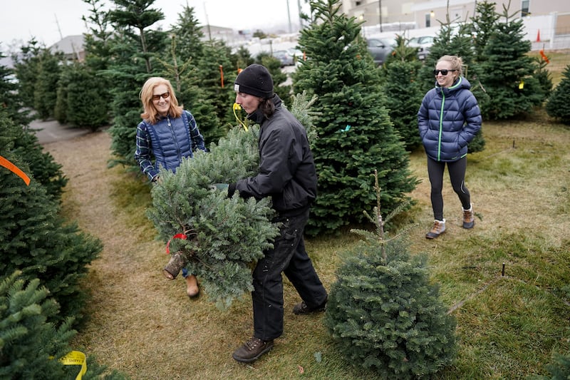 Justice Van Horne carries a Christmas tree for Linda Karz and her daughter Jessica after they picked it out.