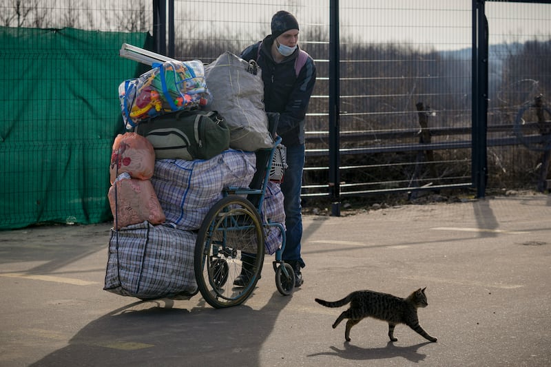 A cat runs past a man pausing before crossing with his family to Ukrainian government controlled areas from pro-Russian areas in Ukraine.