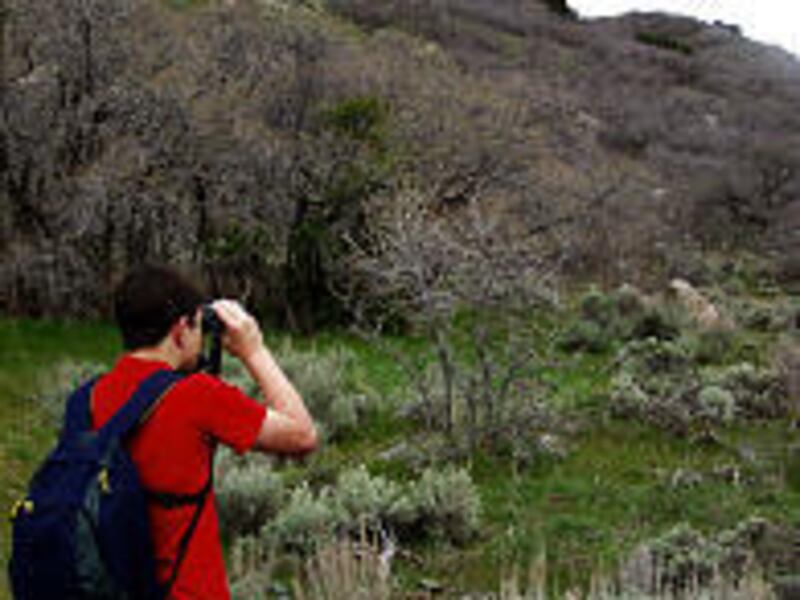 The Bureau of Land Management is seeking volunteers to help conduct the annual Raptor Inventory Nest Survey this spring in northern Utah.