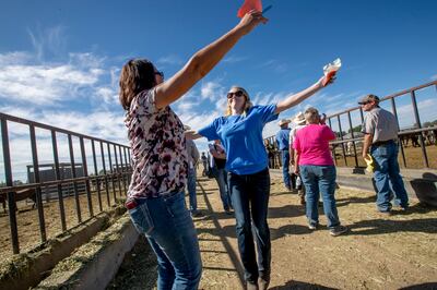 Horse trainers Annie MacDermaid, of Arizona, and Chelsea Bowen, of Pennsylvania, celebrate a winning bid during an auction at the Wild Horse and Burro Facility in Delta on Friday, Aug. 31, 2018.