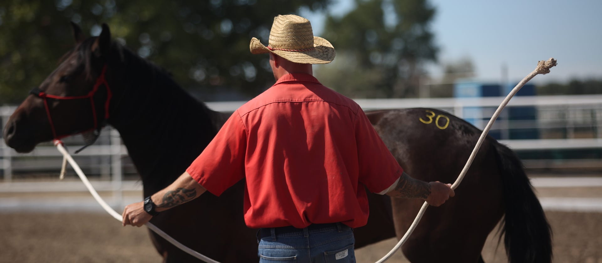 Inmates spend hours at a time in a corral with horses to gain their trust.