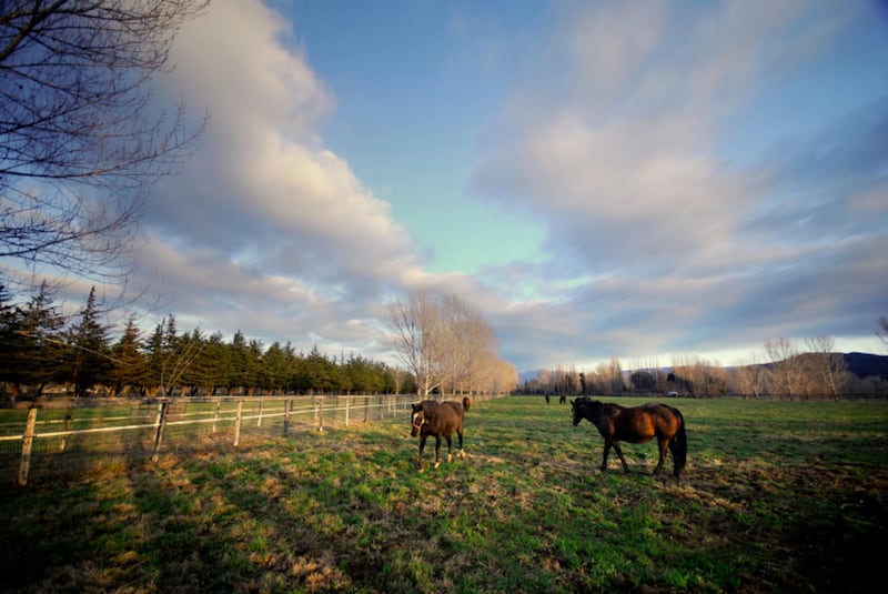 The owner of a Utah equestrian ranch is suing the makers of the movie Wild Horses, alleging she and her ranch were left out of the movie's credits despite playing an important role in its filming.