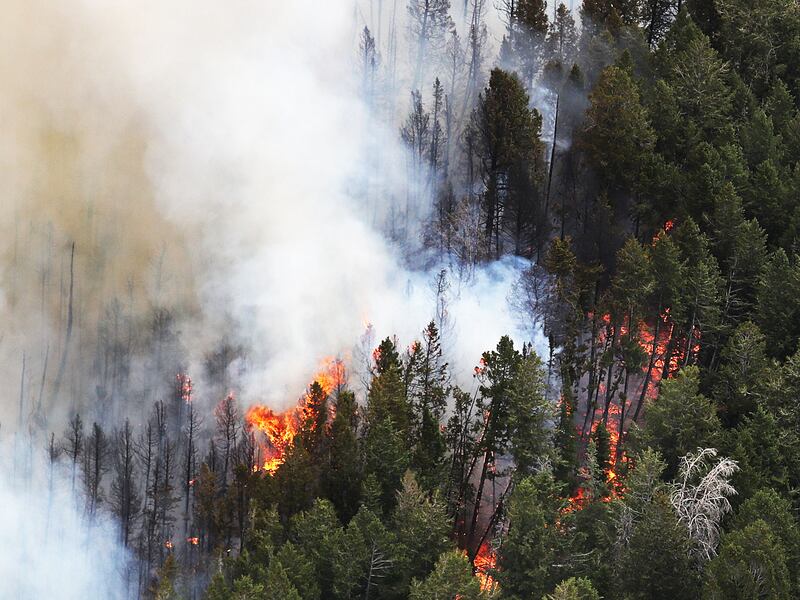 Flames rise from the Dollar Ridge wildfire near Duchesne on Thursday, July 5, 2018.