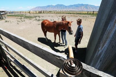 Rachel and Billy Barker comb their horse, Country, as their mother, Shani Barker, not pictured, discusses her concerns about a proposed high-density development project near their home in Erda on Friday, July 13, 2018.