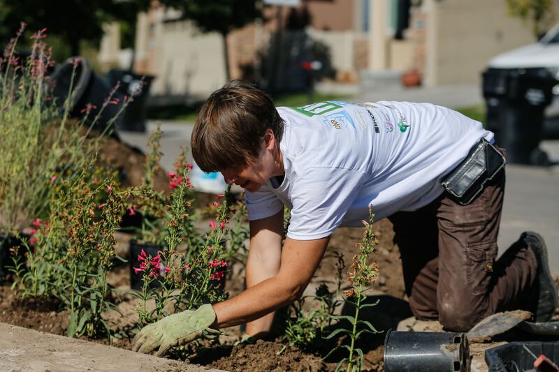 Kim Eden, with Eden’s Garden Design, plants water-wise plants in a park strip in Herriman.