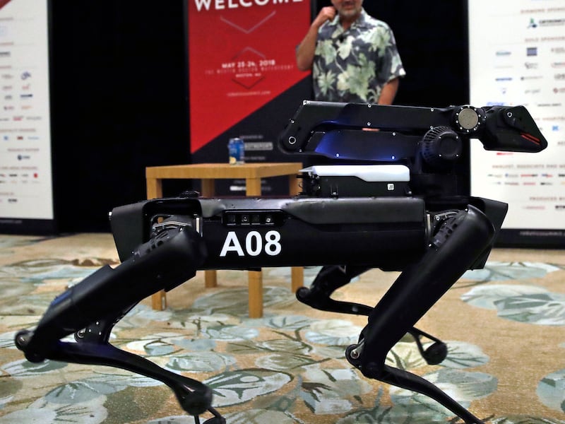 In this Thursday, May 24, 2018, photo a Boston Dynamics SpotMini robot is walks through a conference room during a robotics summit in Boston. It’s never been clear whether robotics company Boston Dynamics is making killing machines, household helpers, or something else entirely. But the secretive firm, which for nine years has unnerved viewers with YouTube videos of robots that jump, gallop or prowl like animal predators, is starting to emerge from a quarter-century of stealth.