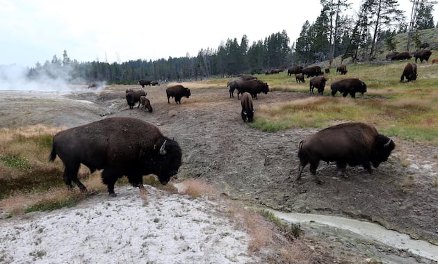 Who is Scott Socha? The new nominee to run the National Park Service