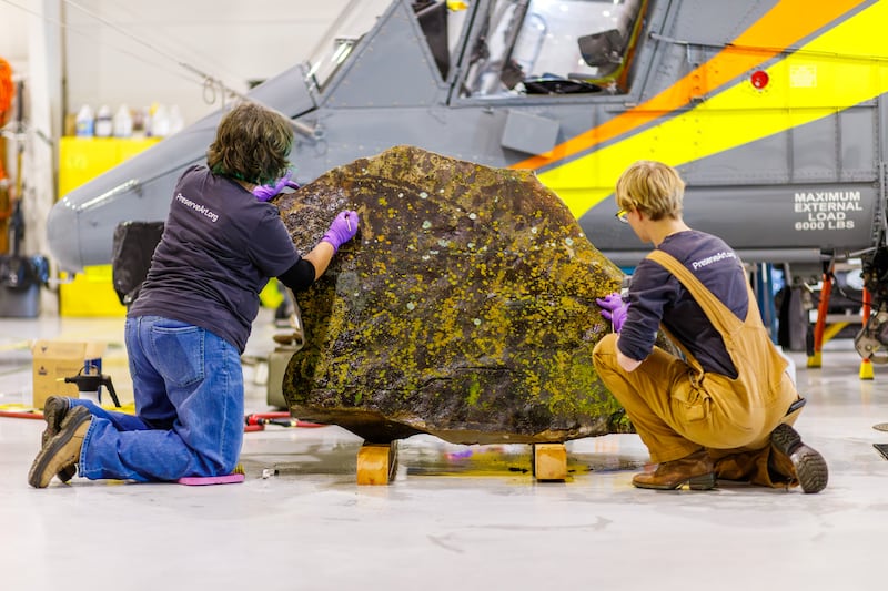 Conservators from the Midwest Art Conservation Center carefully clean and preserve this lichen-covered rock petroglyph on Tuesday, December 9, 2025, in Provo, Utah.