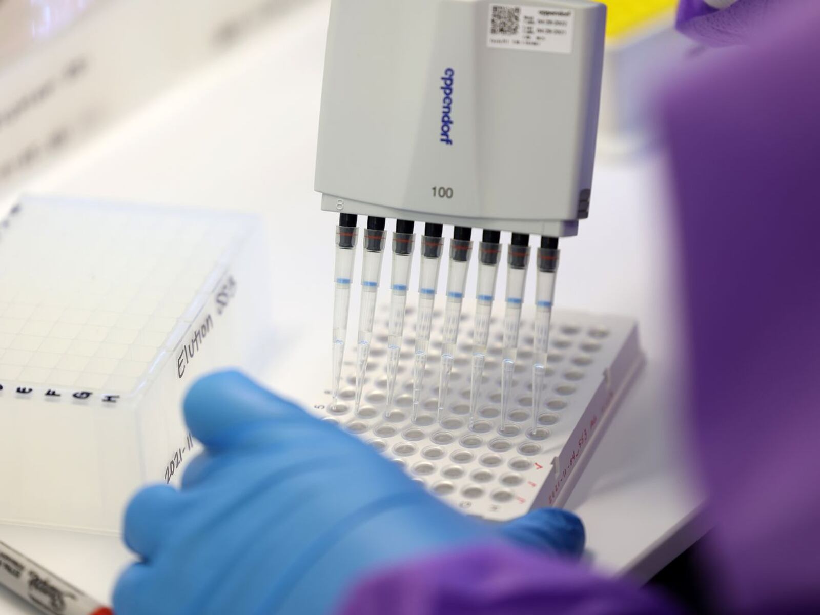 Microbiologist Ann Gariety sequences COVID-19 samples for variants at the Utah Public Health Laboratory.