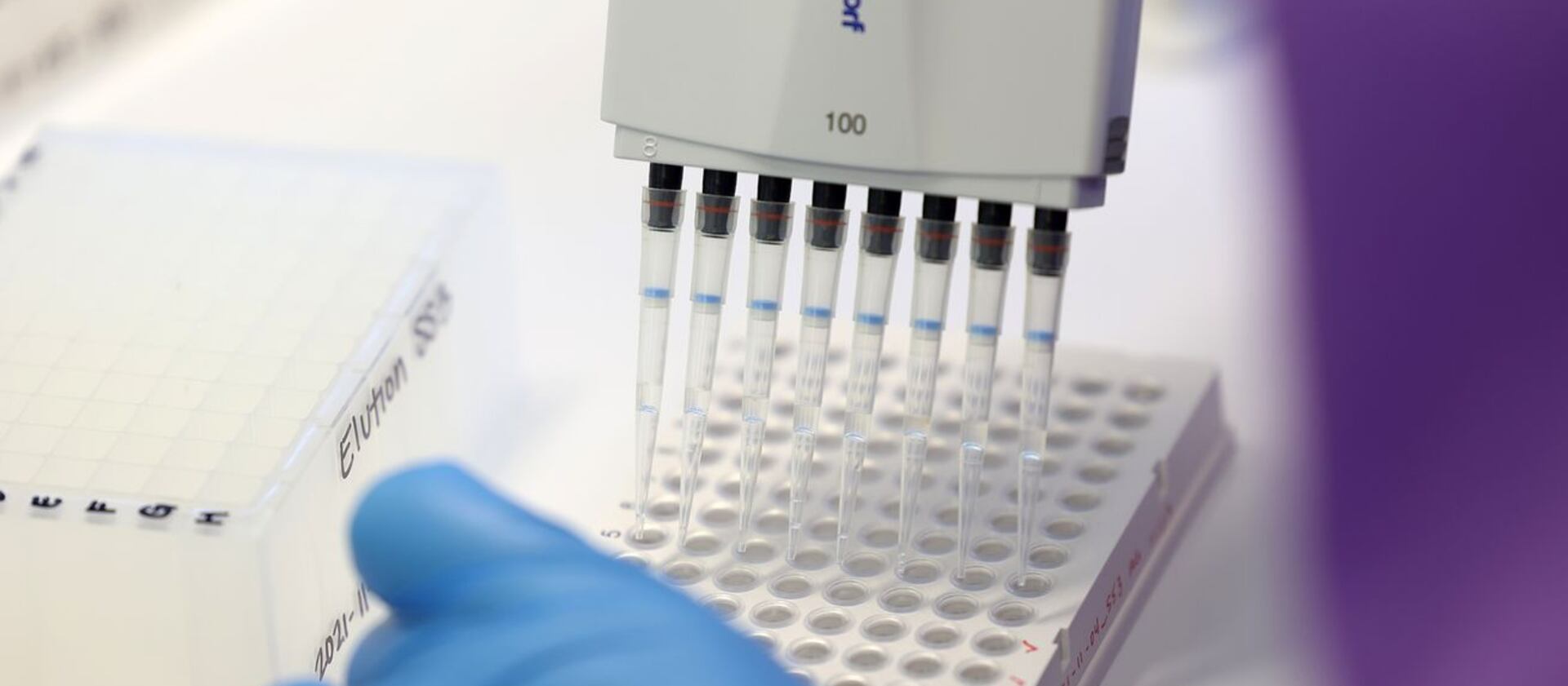 Microbiologist Ann Gariety sequences COVID-19 samples for variants at the Utah Public Health Laboratory.