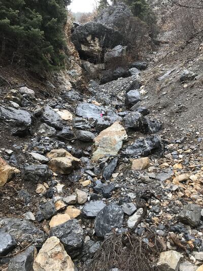 A climber in American Fork Canyon found human remains that authorities say might belong to missing American Fork woman Jerika Binks in on Sunday, April 14, 2019.