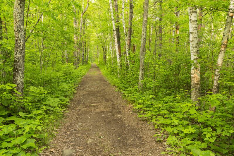 The Bureau of Land Management recently acquired 231 acres from a private property owner near the Gooseberry Mesa National Recreation Trail.