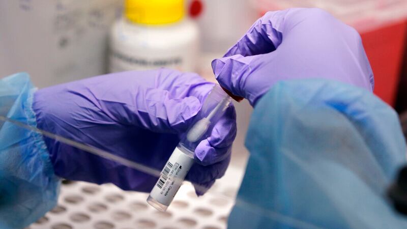 Scientist holds a swab and specimen vial in a COVID-19 testing lab.