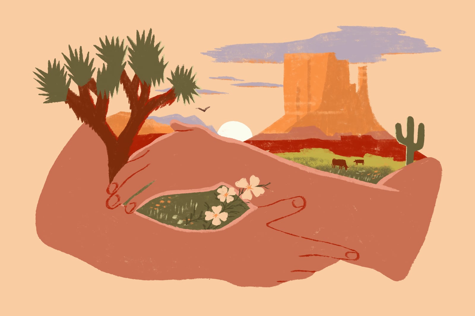 Who Owns The West Who Owns The West