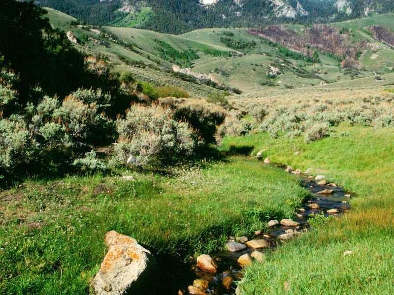 "Scott's Basin, Deep Creek Mountains" by James Kay.