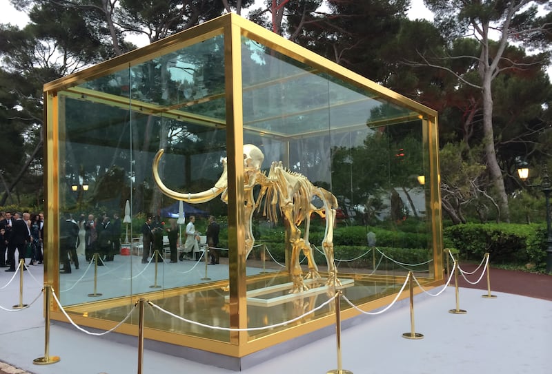 In this photo taken on Thursday, May 22, 2014, British artist Damien Hirst's latest piece entitled "Gone but Not Forgotten", which features the gilded skeleton of a woolly mammoth in a steel and glass vitrine, is displayed at an amfAR event in Cap d'Antib