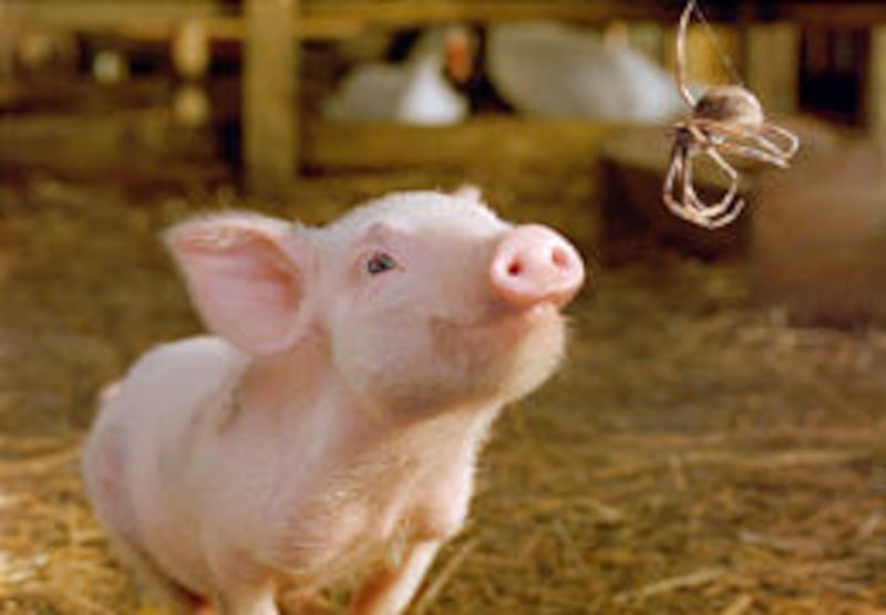 Dominic Scott Kay voices Wilbur, left, and Julia Roberts voices Charlotte, right, in "Charlotte's Web."