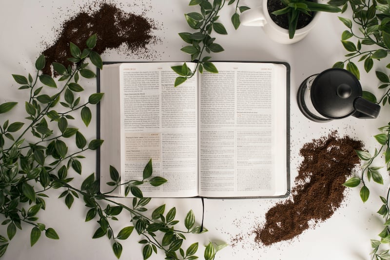 A bible is open and surrounded by deep green plants and rich dirt against a strikingly white background.