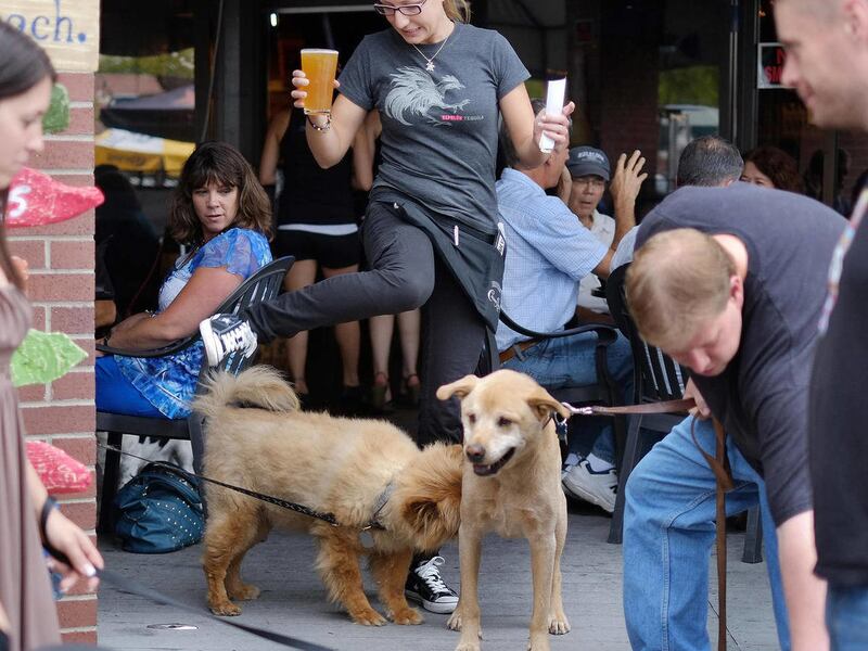 In this Sept. 12, 2012 photo, Barley Room waitress Kaitlin Livingstone, center steps over the overcrowded patio during happy hour in Albuquerque, N.M. Dogs abounded at The Barley Room, as the Animal Humane’s “Tail Date” club was having one of its monthly