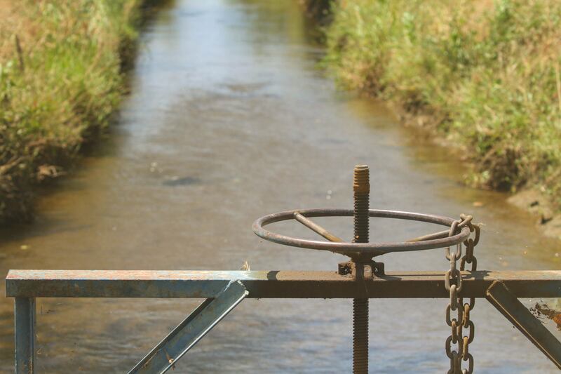 FILE - Health officials are investigating after several cases of E. coli were reported in Washington, according to city officials.