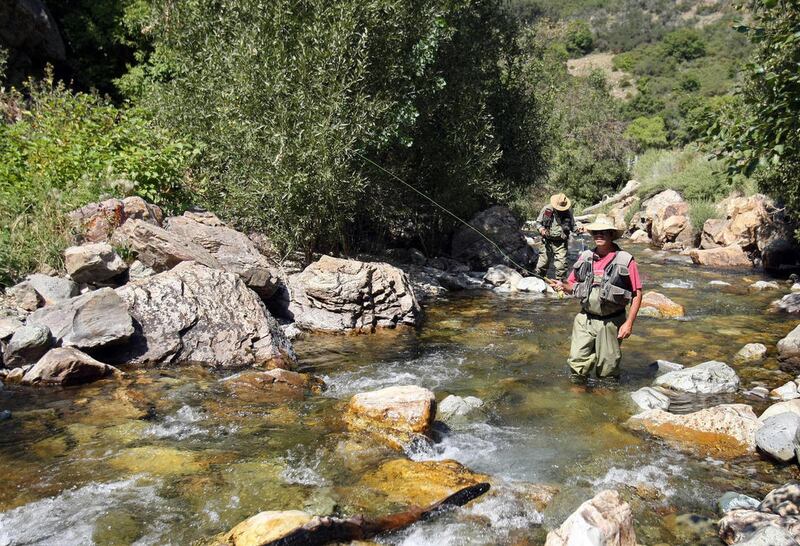 Bob Beers fly fishes for small rainbow trout with his father Gary in Big Cottonwood Canyon in this file photo from Sept. 4, 2009. A new report praises Salt Lake City for its efforts to protect critical water resources in the nearby Wasatch Mountains.