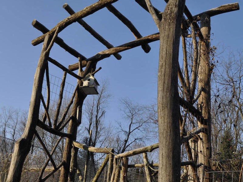 This undated photo courtesy of Lee Reich shows an arbor built of locust, a tree whose wood is very rot resistant, in New Paltz, N.Y.