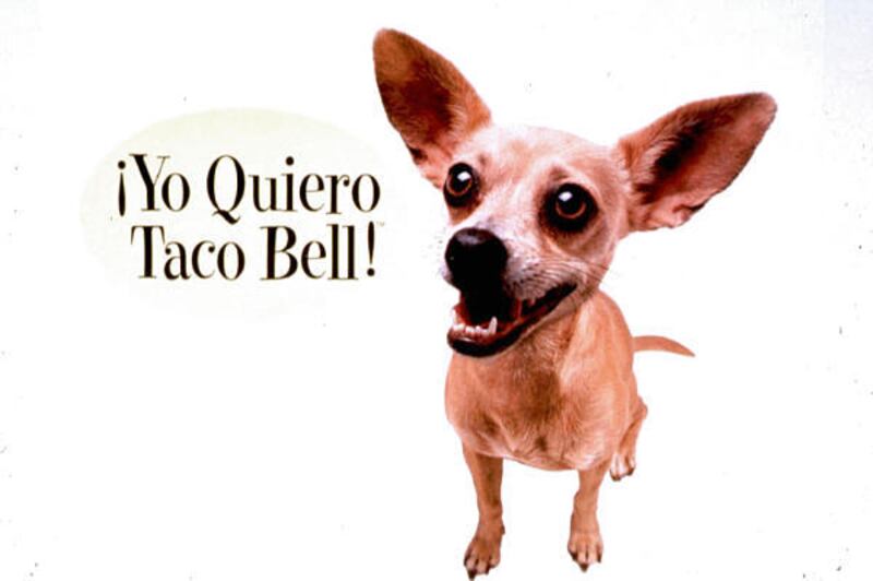 Handlers say Gidget the Chihuahua, whose Taco Bell commercials made her a star, has died. She was 15.