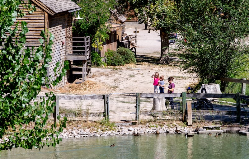 A woman and kids feed ducks at Wheeler Historic Farm in Murray on Tuesday, Aug. 28, 2018. Dangerous algae has been identified in the water.