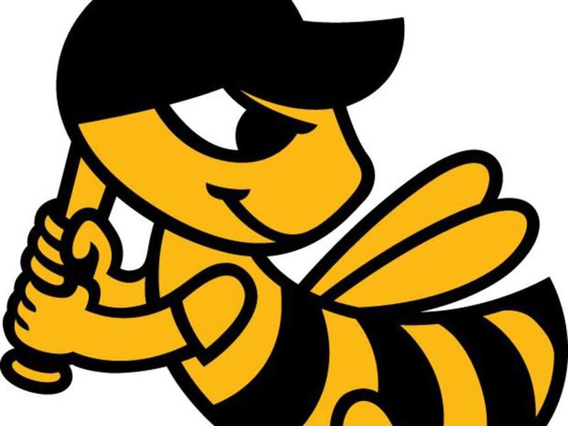 Salt Lake Bees