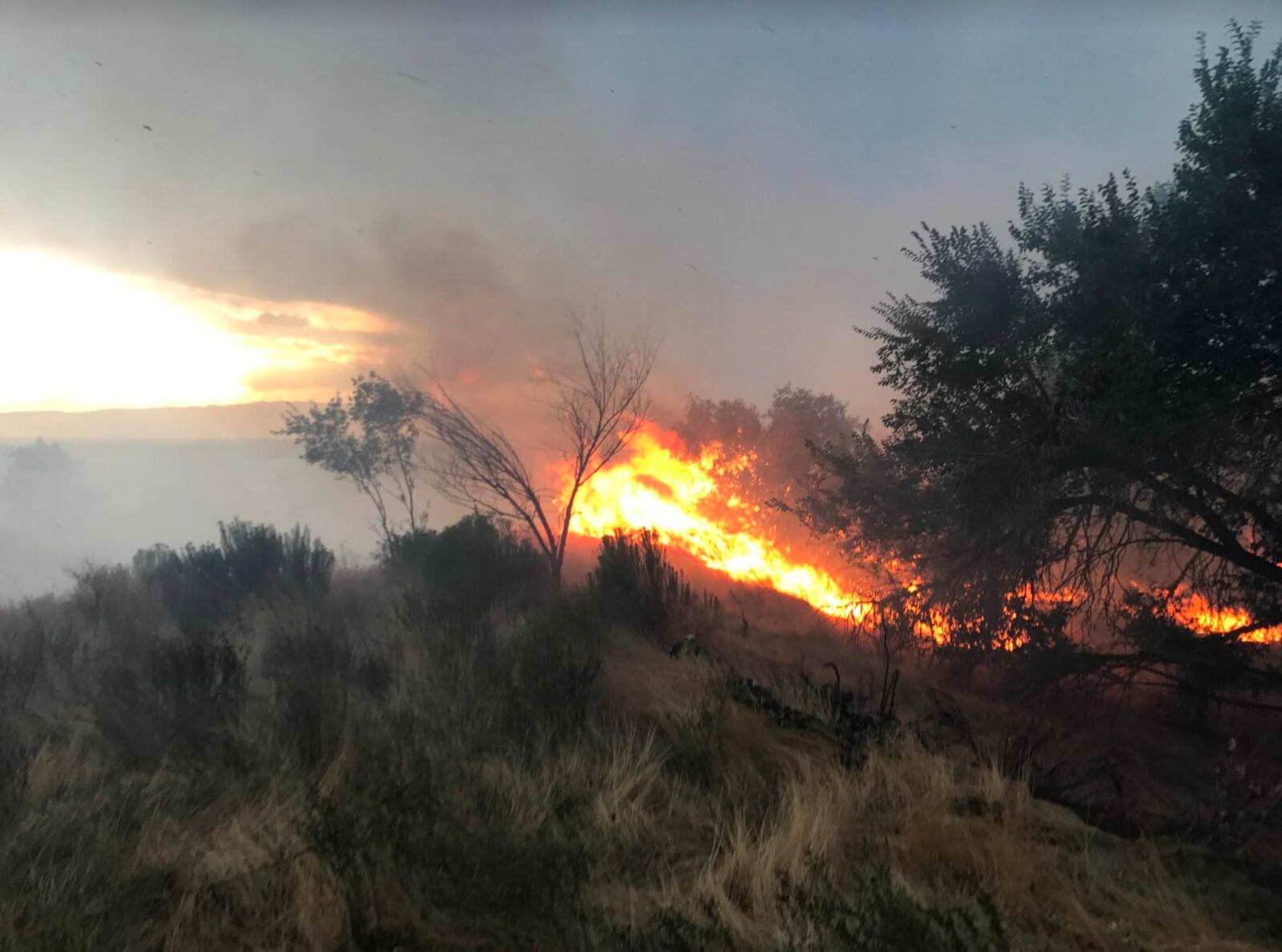 Lightning sparks fire, forces evacuations of 30 Springville homes ...