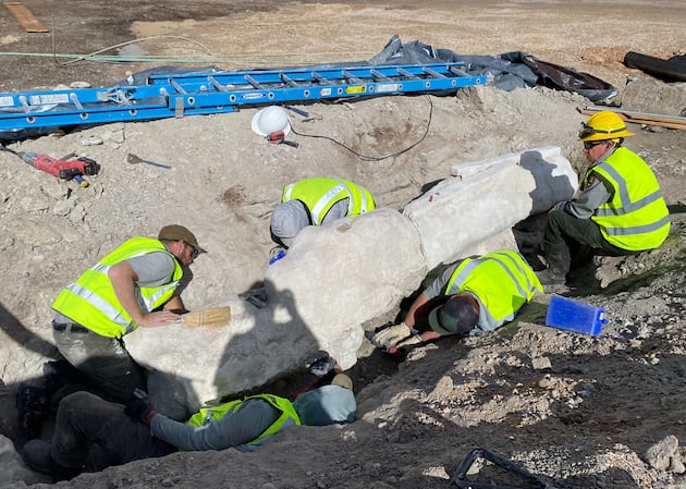 Dinosaur discovery stops construction at Utah park