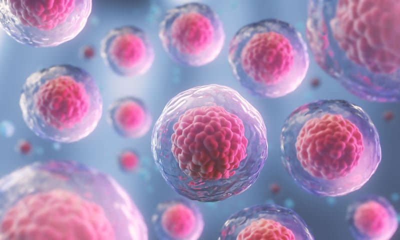 Discovery of a stem cell that attracts cancer could help in developing new orthopedic and cancer treatments.