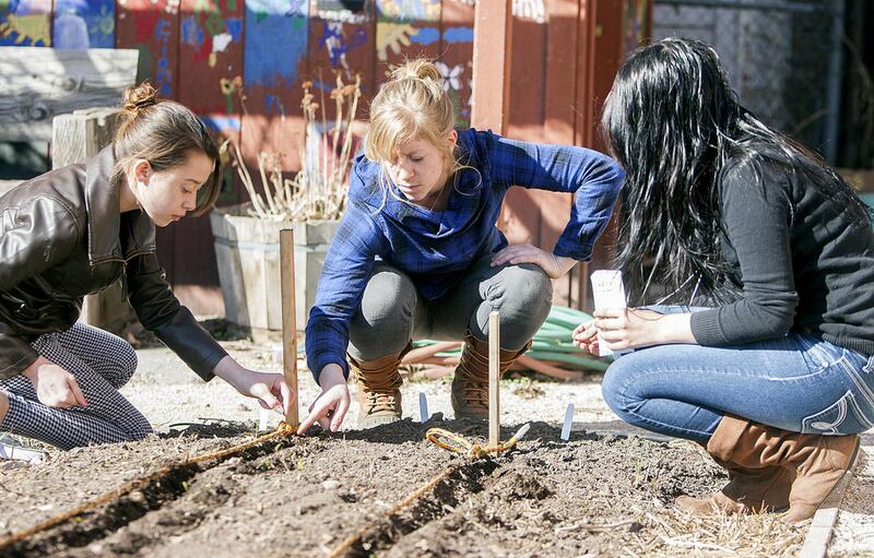 Youth educator Emma Kroon Van Diest works to plants seeds with Felicia Schneider and Dayani Vargas in the Wasatch Community Garden in Salt Lake City Wednesday, March 12, 2014.