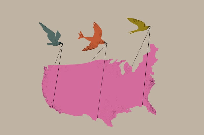 three birds hold strings wrapped around the United States of America to carry the nation.